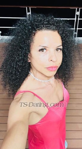 trans girl SashaFerrari 2820560 trans girl SashaFerrari 2820560