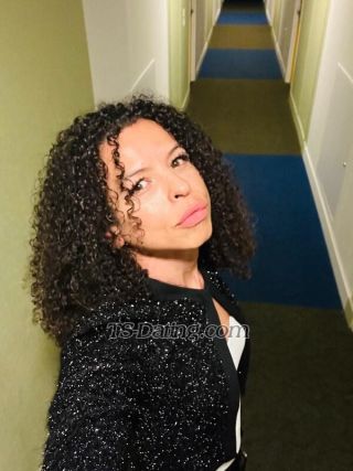 trans girl SashaFerrari 2820971 trans girl SashaFerrari 2820971