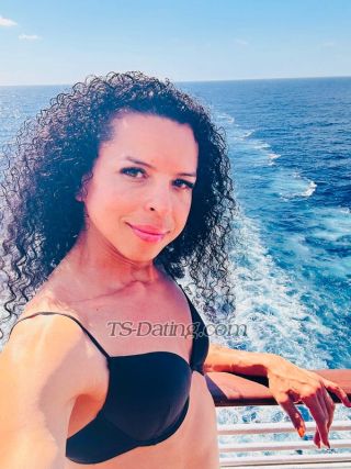 trans girl SashaFerrari 2821721 trans girl SashaFerrari 2821721