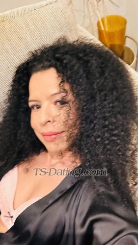 trans girl SashaFerrari 3515170 trans girl SashaFerrari 3515170