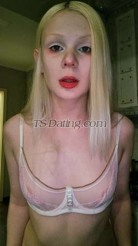 trans girl Sashakiss 3398692