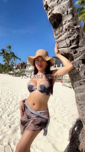 trans girl SassyStefani 8459055 trans girl SassyStefani 8459055