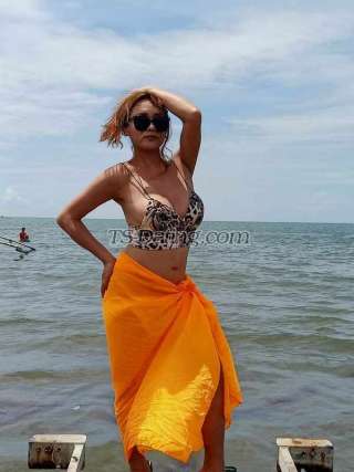 trans girl SdctvErika 2477061 trans girl SdctvErika 2477061