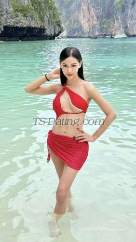 trans girl SexyJenny24 8669637 trans girl SexyJenny24 8669637