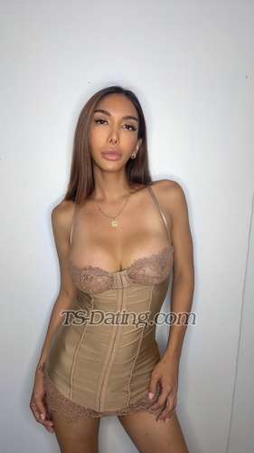 trans girl SexyPaola 2824397 trans girl SexyPaola 2824397