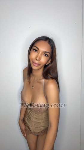 trans girl SexyPaola 2824461 trans girl SexyPaola 2824461