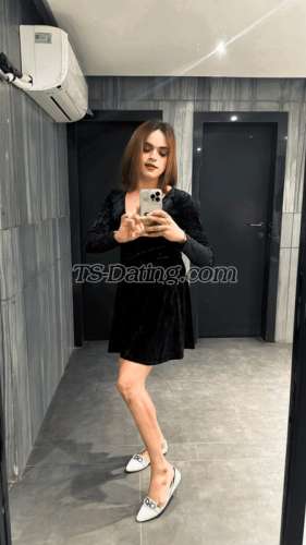 trans girl SexySaniya 5347257 trans girl SexySaniya 5347257