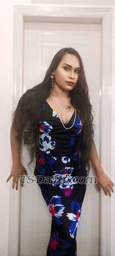 trans girl SexyShila 3454853 trans girl SexyShila 3454853