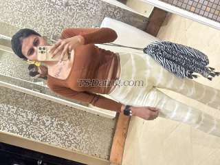 trans girl Sexysamayra 4655817 trans girl Sexysamayra 4655817