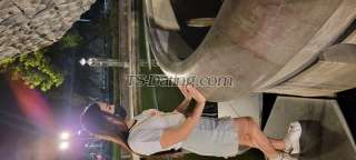 trans girl Sexytransteph 3567632