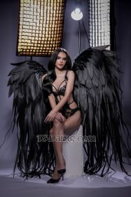 ShachaX Phuket Transex Hellooooo im sha (nature 1000% et sans application de visage ni IA) J'ai 23 ans et je viens de Thaïlande 🇹🇭 Maintenant en Thaïlande 🏝️ Pas de chirurgie et visage 100% original de ladyboy thaïlandais (uniquement du remplissage et du Botox) Envoyez-moi un SMS si vous voulez en savoir plus sur moi Emplacement à Patong Phuket hôtel privé et coffre-fort Je respecte tout le monde et j'accueille ❤️ même photo car toutes les photos proviennent de photographes professionnels et de maquilleurs ❤️ On peut se rencontrer pour boire un verre en premier ❤️ Grand corps de sport 💖 Petites filles folles et coquines 💖Sexe propre et sans risque 💖100% sain et contrôlé pour les maladies tous les mois. 💖Le jouet sexuel est disponible 💖haut et bas 💖Une expérience de petite amie adorable et douce 💖doux et mignon 💖Voyagez autour du monde avec vous 💖cusplay gym plage et santé Vous pouvez me suivre ou me contacter IG shachalisaaa Snapchat Sha2meow Télégramme @shalixxxo WhatsApp +66803511087 et +66983565620