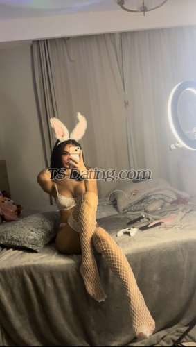 trans girl ShachaX 3878599 trans girl ShachaX 3878599