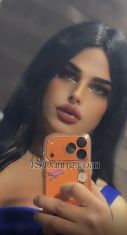 Shaghaf Amman Transex Hello, I'm Ward. I live alone in a detached house. I'm 25 and enjoy mutual sex and oral sex. I love licking your ass, and my penis is 20 cm long. Come to my beautiful nest for the best times of sex and seduction. I have sadomasochistic toys and a mask, and I have a hot bath. Come and let's have the best time.