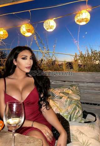 trans girl Shahooda 1572245 trans girl Shahooda 1572245