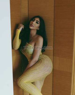 trans girl Shahooda 3582425 trans girl Shahooda 3582425