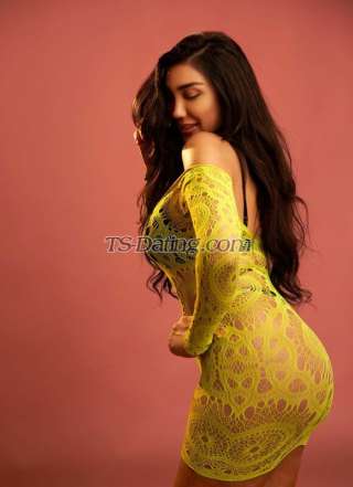 trans girl Shahooda 7474090 trans girl Shahooda 7474090