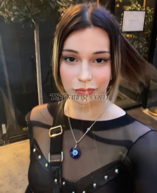 trans girl Shailo 8838824 trans girl Shailo 8838824