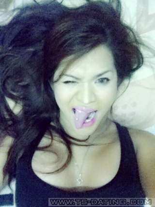 trans girl Shamina 7798696 trans girl Shamina 7798696