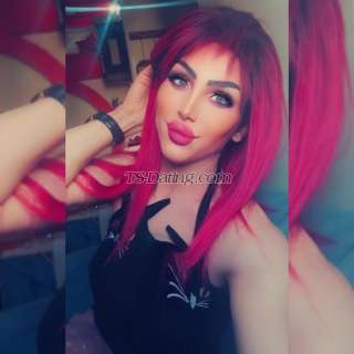 trans girl Shamosy 1308929 trans girl Shamosy 1308929