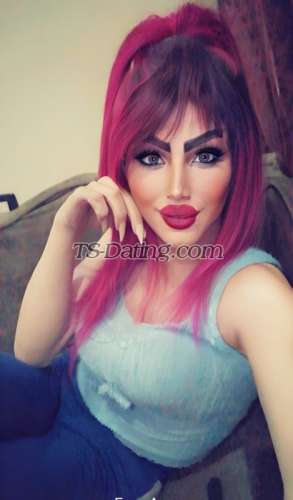trans girl Shamosy 1308963 trans girl Shamosy 1308963