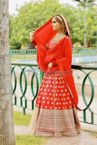 trans girl Shanaya234 0975905 trans girl Shanaya234 0975905