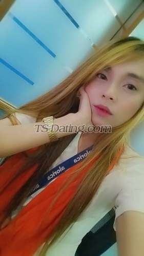 trans girl Shanebrown 8963626 trans girl Shanebrown 8963626