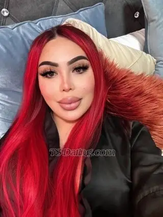 Shemale Shanellxl 3358536 Shemale Shanellxl 3358536