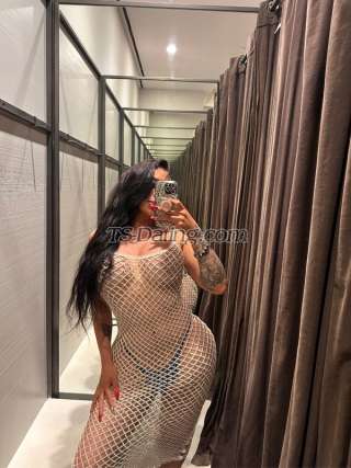 trans girl Shanellxl 4351843 trans girl Shanellxl 4351843