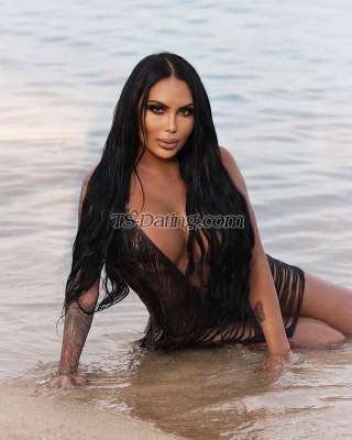 trans girl Shanellxl 4352400 trans girl Shanellxl 4352400