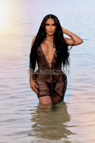 trans girl Shanellxl 4352682 trans girl Shanellxl 4352682