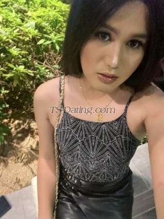 trans girl Shaneza 4559766 trans girl Shaneza 4559766