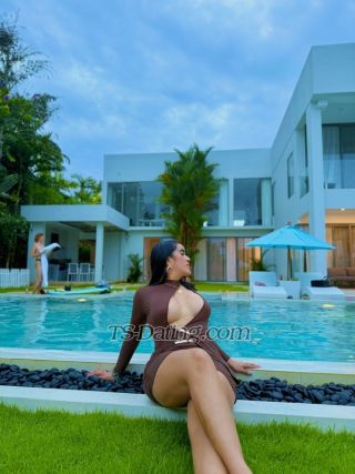 trans girl Sharif 1629363 trans girl Sharif 1629363