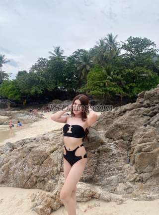 trans girl Shawily 7448904 trans girl Shawily 7448904