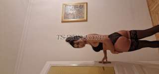 trans girl trans girlsisi 9436286 trans girl trans girlsisi 9436286