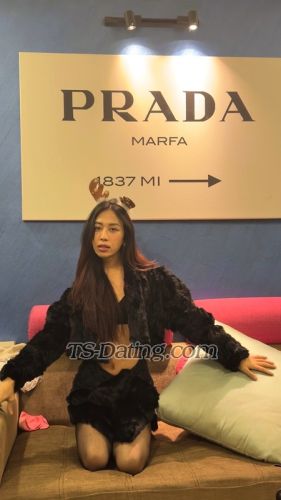 trans girl Shimmerdema 2031099 trans girl Shimmerdema 2031099