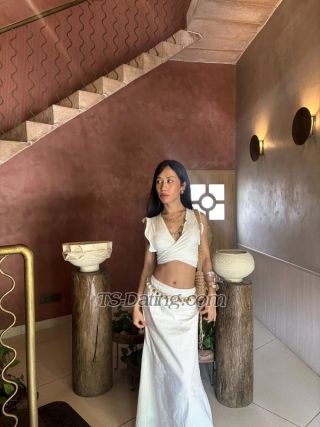 trans girl Shimmerdema 3314467