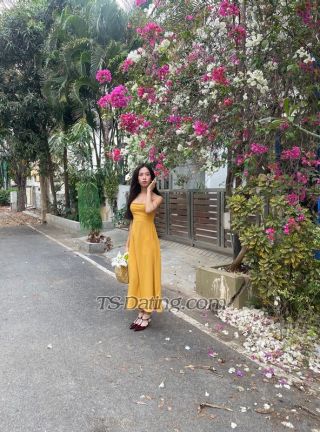 trans girl Shimmerdema 4177258