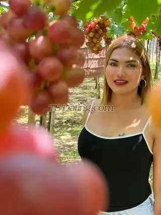 Shemale Shinevanderh 4298443 Shemale Shinevanderh 4298443