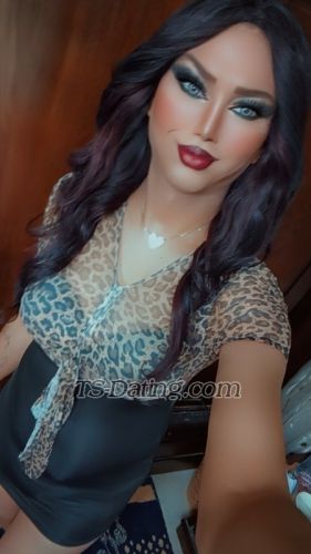 trans girl Shomooq 0228466