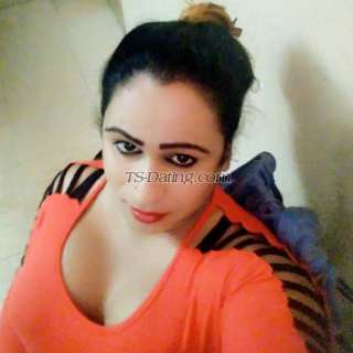 ShonaRoy 3408123 ShonaRoy 3408123