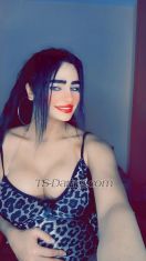 Shoshosexy Cairo Transex Hi I m shosho all are welcome to spend nice time  all services are available meeting sex phone sex cam