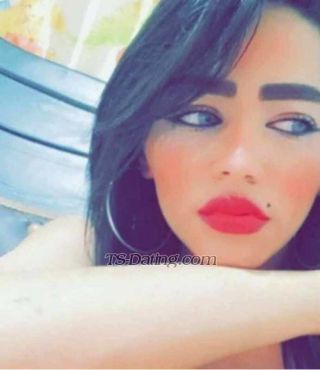 trans girl Shoshosexy 0110724