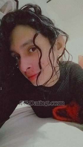 trans girl Shrishti69 8578161 trans girl Shrishti69 8578161