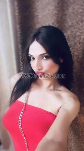 trans girl Shonel 5380138 trans girl Shonel 5380138