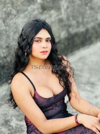 trans girl Sitaara 2488232 trans girl Sitaara 2488232