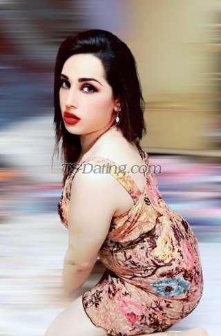 trans girl Sofia22 4304069 trans girl Sofia22 4304069