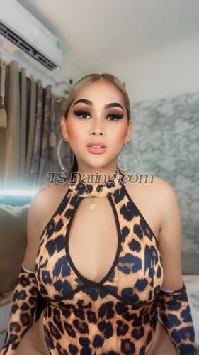 trans girl SofiaNicole 0472427