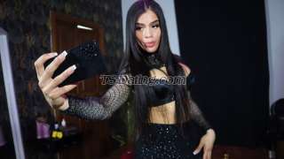 trans girl SofiaParty 5609281 trans girl SofiaParty 5609281