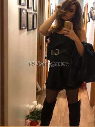 trans girl Sofiaaa 8579559