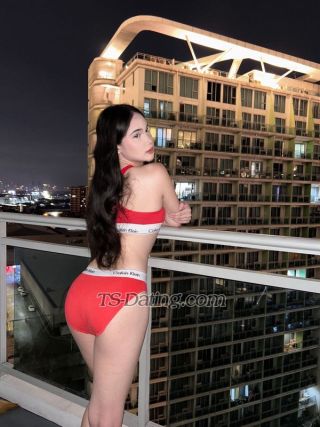trans girl Sofiacoxz 3090499 trans girl Sofiacoxz 3090499